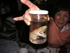 s_A_PICT0123_thumb.png